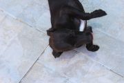 Vorschaubild 6