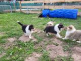 Vorschaubild 2