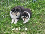 Vorschaubild 7