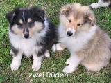 Vorschaubild 6