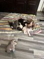 Vorschaubild 1