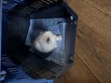 Vorschaubild 1