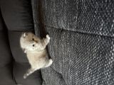 Vorschaubild 8