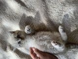 Vorschaubild 7