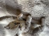 Vorschaubild 6