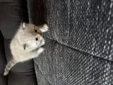 Vorschaubild 7
