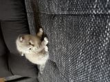 Vorschaubild 9