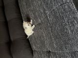Vorschaubild 6