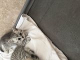 Vorschaubild 2