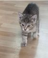 Vorschaubild 6