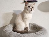 Vorschaubild 5