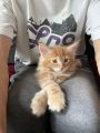 Vorschaubild 5