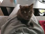 Vorschaubild 10