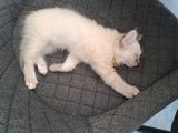 Vorschaubild 6