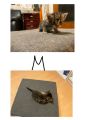 Vorschaubild 5