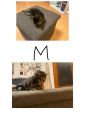 Vorschaubild 8