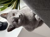 Vorschaubild 5