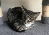 Vorschaubild 2