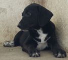 Vorschaubild 2
