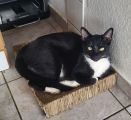 Vorschaubild 3