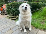Vorschaubild 4
