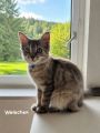 Vorschaubild 4