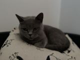 Vorschaubild 9