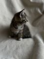 Vorschaubild 6
