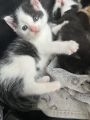 Vorschaubild 5