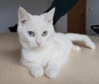 Vorschaubild 9