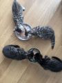 Vorschaubild 10
