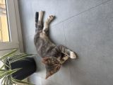 Vorschaubild 6