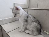 Vorschaubild 8