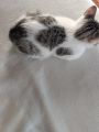 Vorschaubild 5