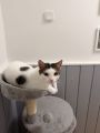 Vorschaubild 3
