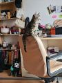 Vorschaubild 7