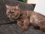 Vorschaubild 2