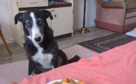Vorschaubild 3