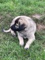 Vorschaubild 3