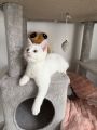 Vorschaubild 3
