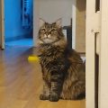 Vorschaubild 10