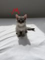 Vorschaubild 10