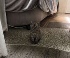 Vorschaubild 5
