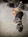 Vorschaubild 7