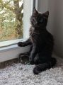 Vorschaubild 5