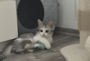 Vorschaubild 4