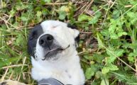 Vorschaubild 7