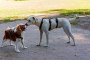 Vorschaubild 9