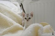 Vorschaubild 5