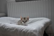 Vorschaubild 6